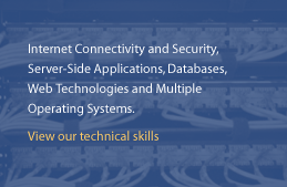 view our technical skills